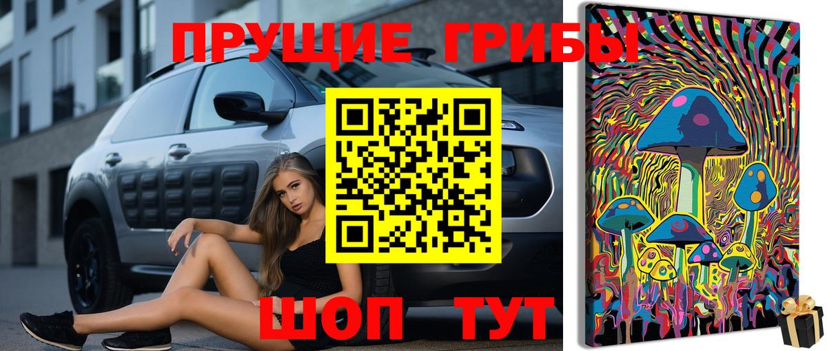 Галлюциногенные грибы мухоморы  Вход с VPN  закладки  Малгобек 
